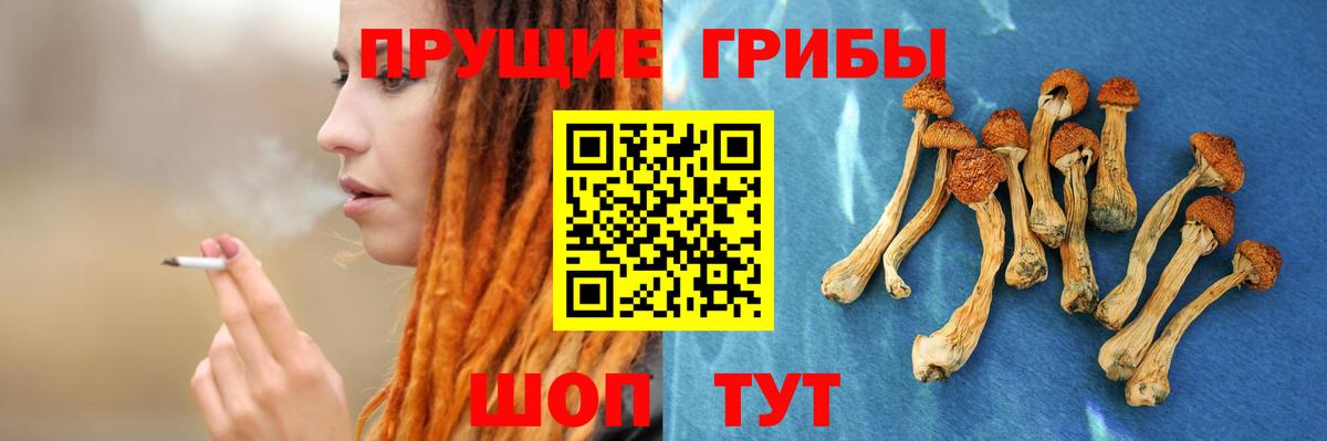 Галлюциногенные грибы GOLDEN TEACHER  Галлюциногенные грибы GOLDEN TEACHER  Вход с VPN  Чебаркуль 