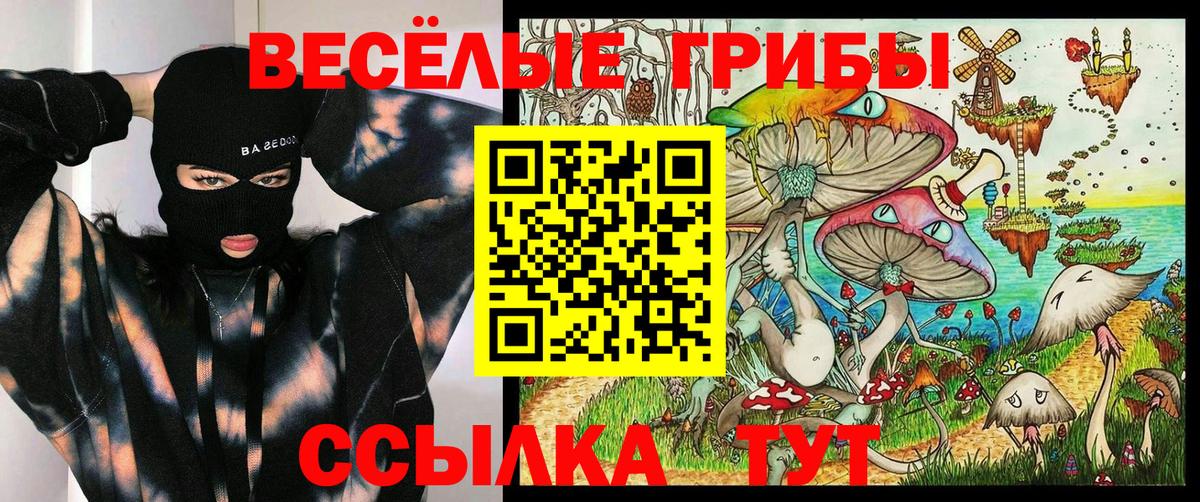 Псилоцибиновые грибы прущие грибы Чебаркуль